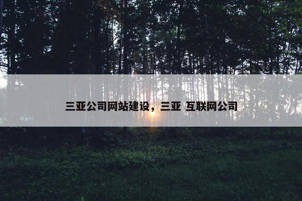 三亚公司网站建设，三亚 互联网公司