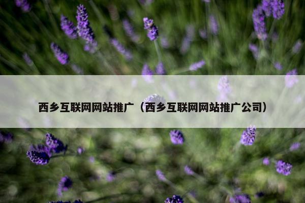 西乡互联网网站推广(西乡互联网网站推广公司) 西乡互联网网站推广(西乡互联网网站推广公司)
