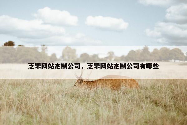 芝罘网站定制公司，芝罘网站定制公司有哪些