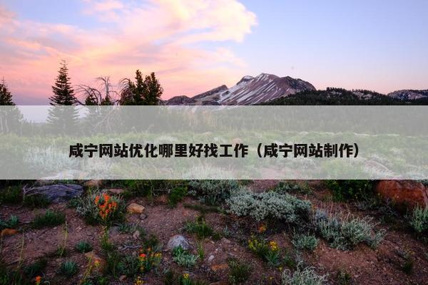 咸宁网站优化哪里好找工作（咸宁网站制作）