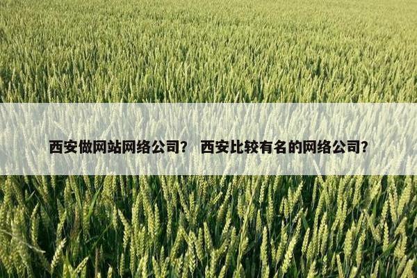 西安做网站网络公司？ 西安比较有名的网络公司？