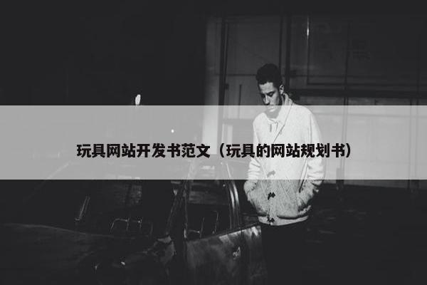 玩具网站开发书范文（玩具的网站规划书）