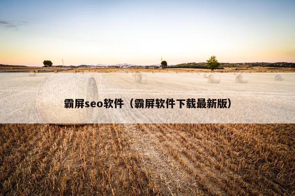 霸屏seo软件（霸屏软件下载最新版）