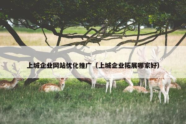 上城企业网站优化推广（上城企业拓展哪家好）