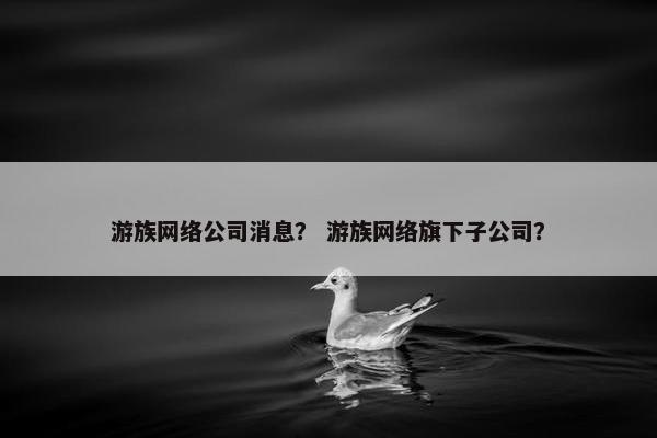 游族网络公司消息？ 游族网络旗下子公司？