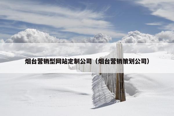 烟台营销型网站定制公司（烟台营销策划公司）