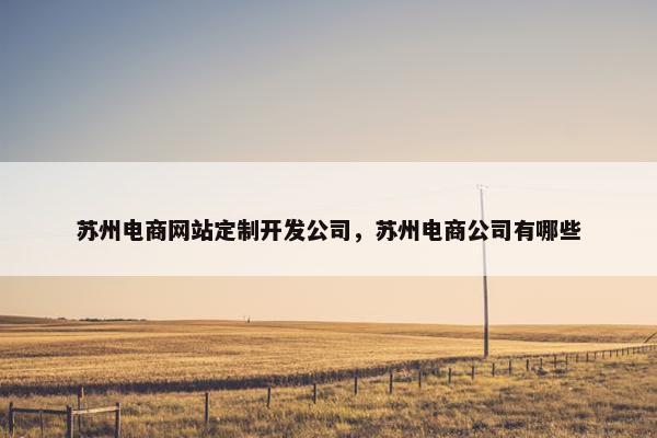 苏州电商网站定制开发公司，苏州电商公司有哪些