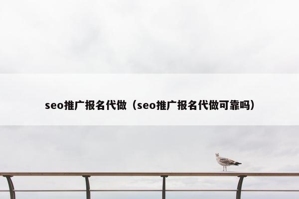 seo推广报名代做（seo推广报名代做可靠吗）