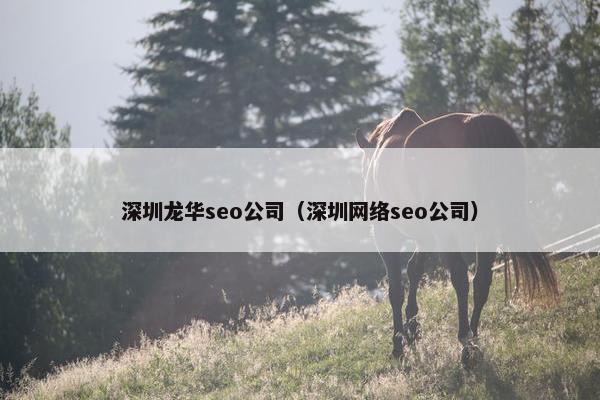 深圳龙华seo公司（深圳网络seo公司）