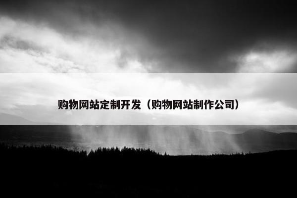 购物网站定制开发(购物网站制作公司) 购物网站定制开发(购物网站制作公司)