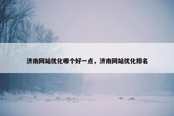 济南网站优化哪个好一点，济南网站优化排名