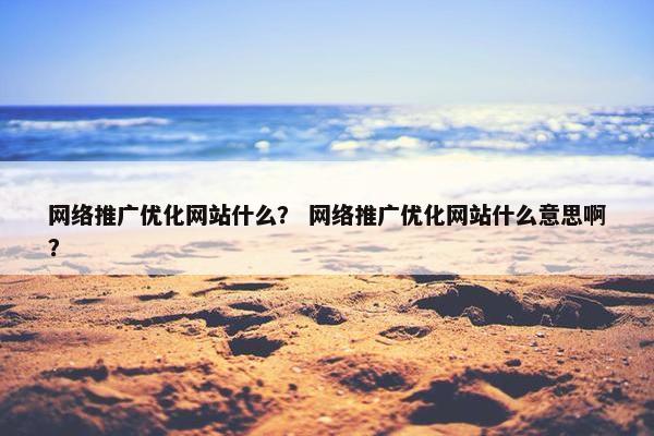 网络推广优化网站什么？ 网络推广优化网站什么意思啊？