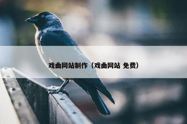 戏曲网站制作(戏曲网站 免费) 戏曲网站制作(戏曲网站 免费)