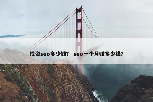 投资seo多少钱？ seo一个月赚多少钱？
