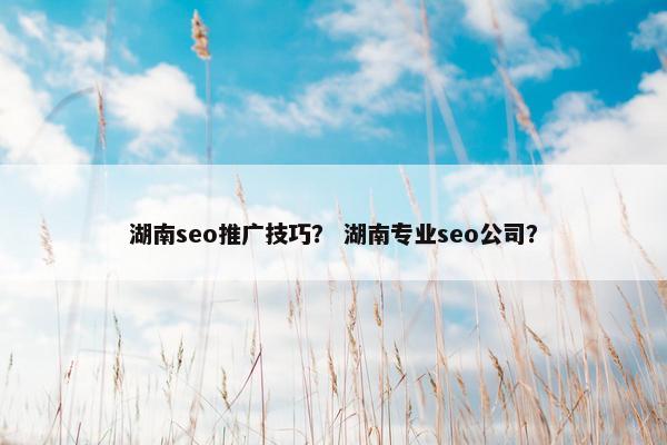 湖南seo推广技巧？ 湖南专业seo公司？