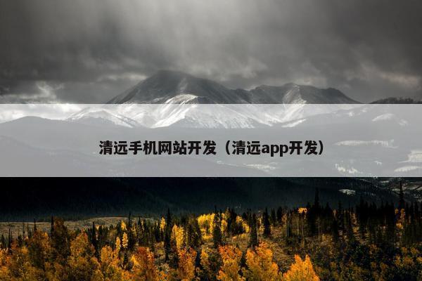 清远手机网站开发（清远app开发）