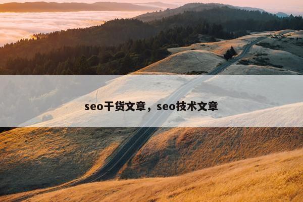 seo干货文章，seo技术文章