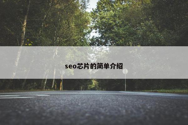 seo芯片的简单介绍 seo芯片的简单介绍