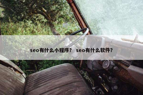 seo有什么小程序？ seo有什么软件？
