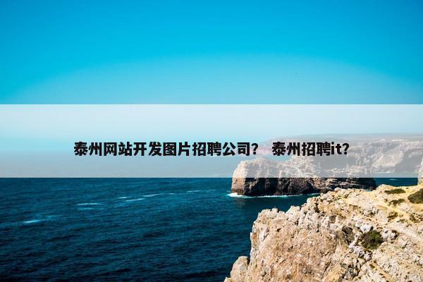 泰州网站开发图片招聘公司？ 泰州招聘it？