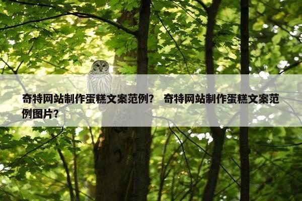 奇特网站制作蛋糕文案范例？ 奇特网站制作蛋糕文案范例图片？