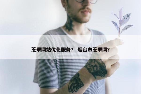 芝罘网站优化服务？ 烟台市芝罘网？