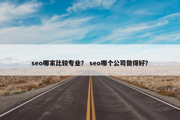 seo哪家比较专业? seo哪个公司做得好? seo哪家比较专业? seo哪个公司做得好?