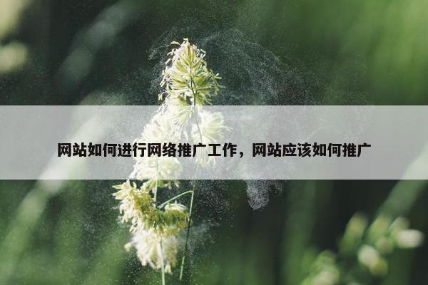 网站如何进行网络推广工作，网站应该如何推广