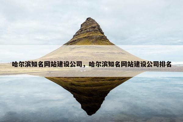 哈尔滨知名网站建设公司，哈尔滨知名网站建设公司排名
