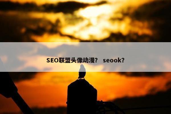 SEO联盟头像动漫？ seook？
