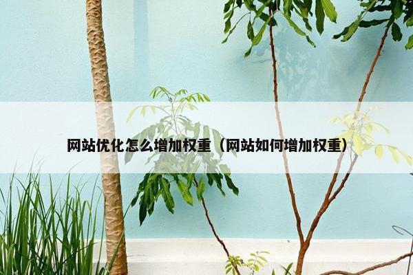 网站优化怎么增加权重(网站如何增加权重) 网站优化怎么增加权重(网站如何增加权重)