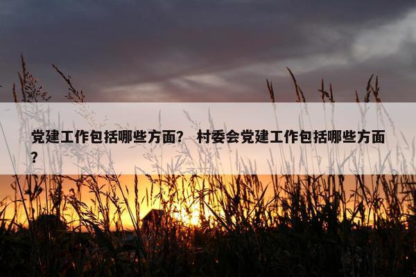 党建工作包括哪些方面？ 村委会党建工作包括哪些方面？
