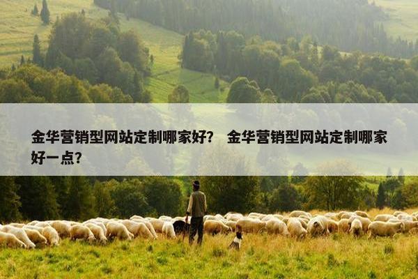 金华营销型网站定制哪家好？ 金华营销型网站定制哪家好一点？