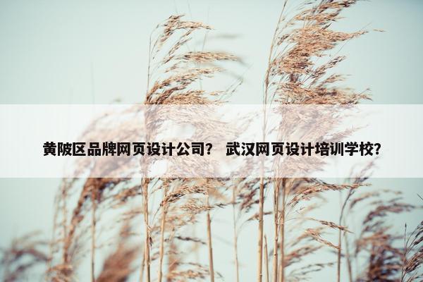 黄陂区品牌网页设计公司？ 武汉网页设计培训学校？