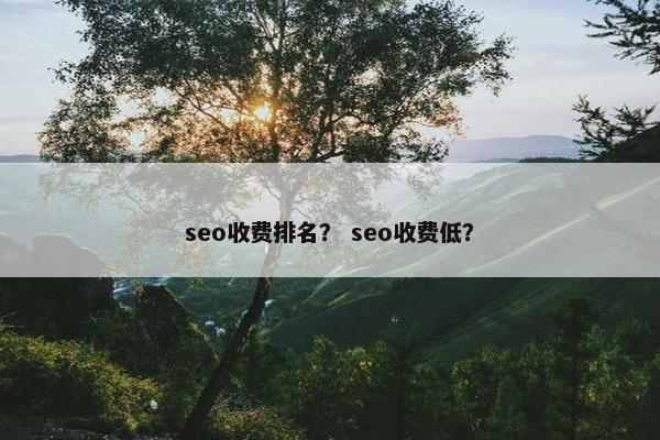 seo收费排名？ seo收费低？