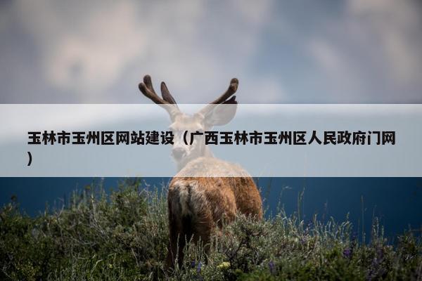 玉林市玉州区网站建设（广西玉林市玉州区人民政府门网）