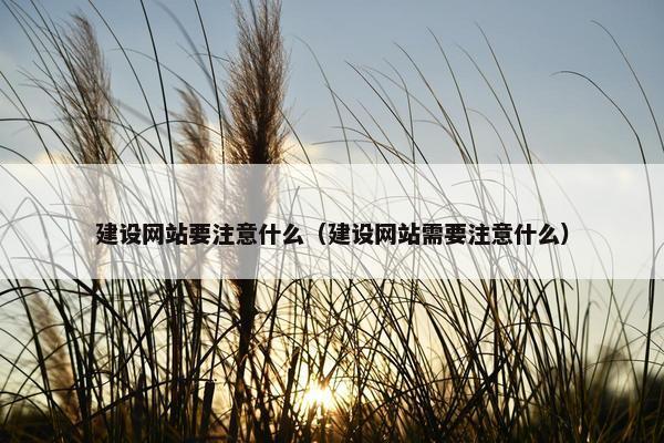 建设网站要注意什么（建设网站需要注意什么）
