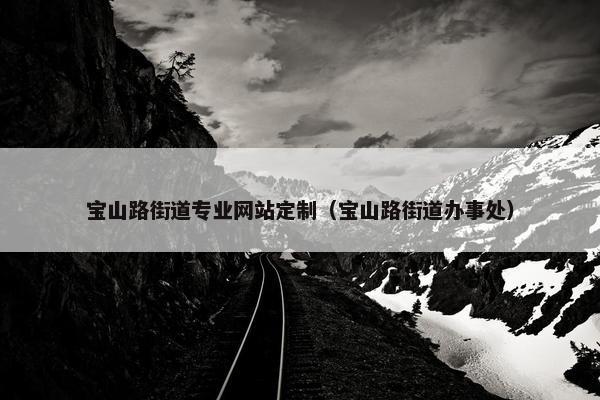 宝山路街道专业网站定制（宝山路街道办事处）