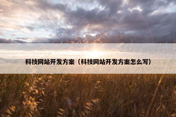 科技网站开发方案（科技网站开发方案怎么写）