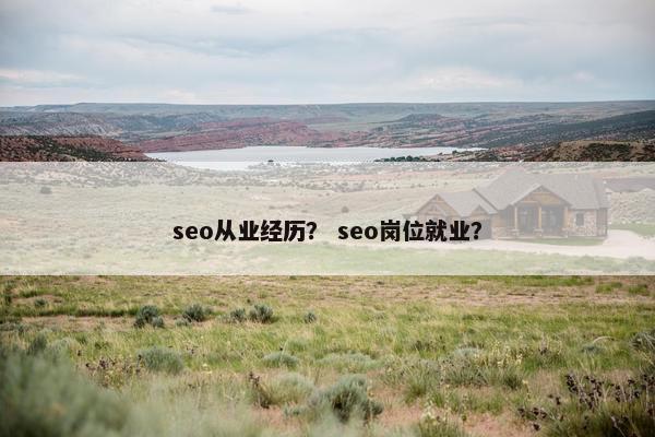 seo从业经历？ seo岗位就业？