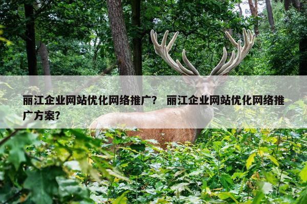 丽江企业网站优化网络推广？ 丽江企业网站优化网络推广方案？