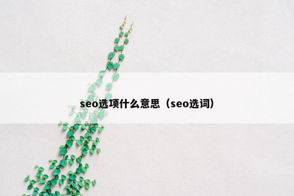 seo选项什么意思（seo选词）