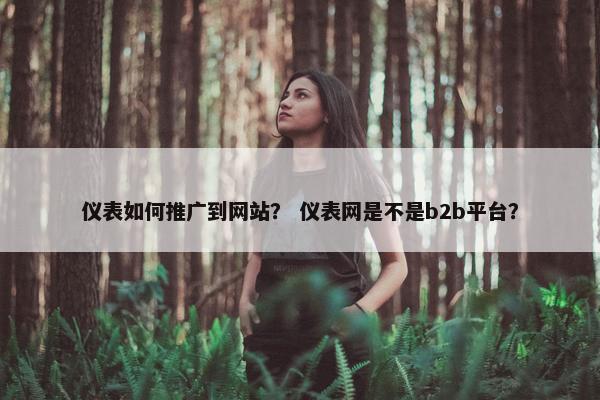仪表如何推广到网站？ 仪表网是不是b2b平台？