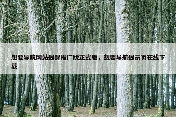 想要导航网站提醒推广版正式版，想要导航提示页在线下载