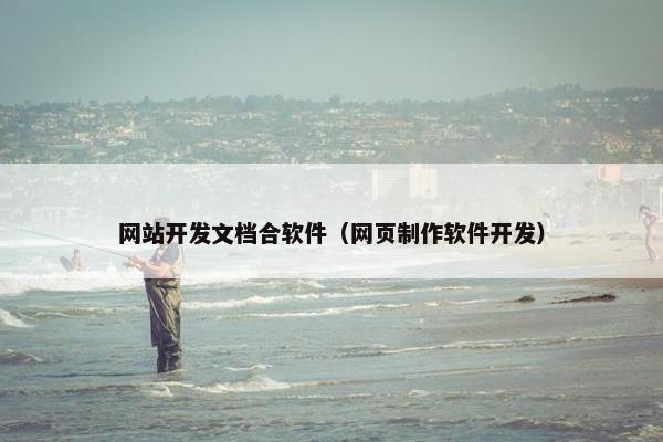 网站开发文档合软件（网页制作软件开发）