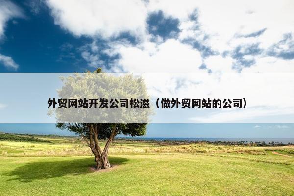 外贸网站开发公司松滋（做外贸网站的公司）
