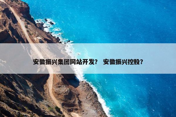安徽振兴集团网站开发？ 安徽振兴控股？