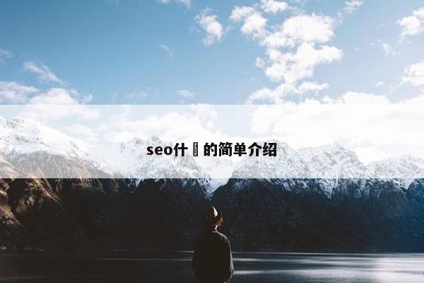 seo什麼的简单介绍
