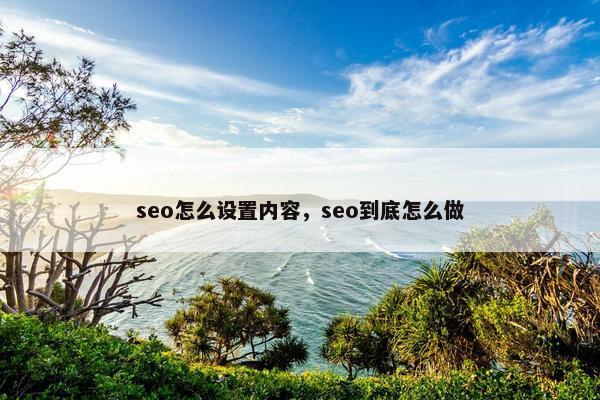seo怎么设置内容，seo到底怎么做