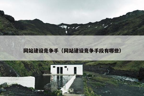 网站建设竞争手（网站建设竞争手段有哪些）